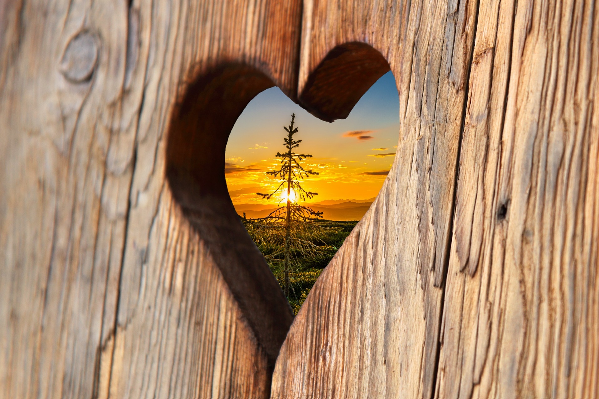 srdce ze dřeva